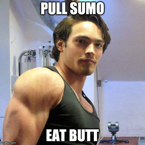 PULL SUMO EAT BUTT | image tagged in pull sumo eat butt | made w/ Imgflip meme maker