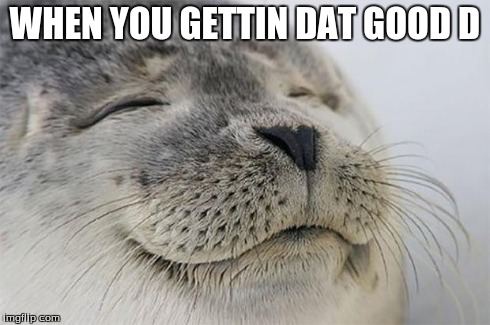 Satisfied Seal Meme | WHEN YOU GETTIN DAT GOOD D | image tagged in memes,satisfied seal | made w/ Imgflip meme maker