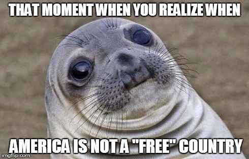 Awkward Moment Sealion | THAT MOMENT WHEN YOU REALIZE WHEN AMERICA IS NOT A "FREE" COUNTRY | image tagged in memes,awkward moment sealion | made w/ Imgflip meme maker