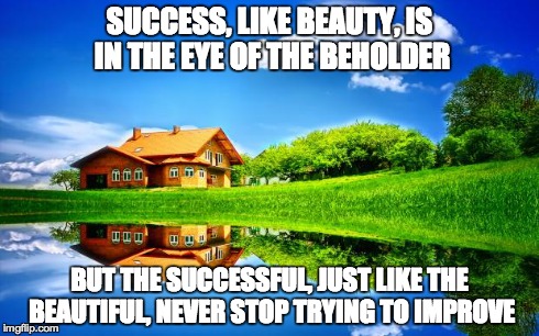 Nature Mirrored | SUCCESS, LIKE BEAUTY, IS IN THE EYE OF THE BEHOLDER BUT THE SUCCESSFUL, JUST LIKE THE BEAUTIFUL, NEVER STOP TRYING TO IMPROVE | image tagged in nature mirrored | made w/ Imgflip meme maker
