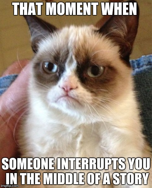 Grumpy Cat | THAT MOMENT WHEN SOMEONE INTERRUPTS YOU IN THE MIDDLE OF A STORY | image tagged in memes,grumpy cat | made w/ Imgflip meme maker