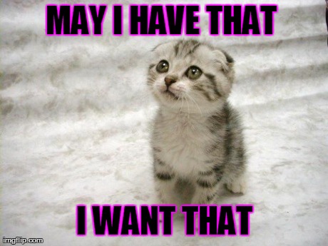 image tagged in cute,cats | made w/ Imgflip meme maker