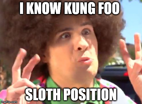 Sarcastic Anthony | I KNOW KUNG FOO SLOTH POSITION | image tagged in memes,sarcastic anthony | made w/ Imgflip meme maker