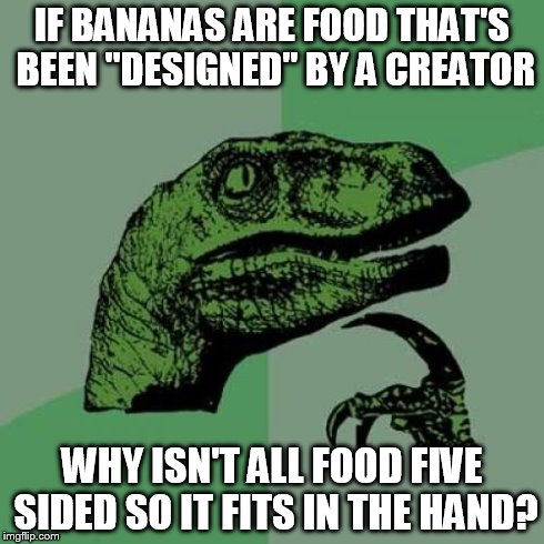 Philosoraptor Meme | IF BANANAS ARE FOOD THAT'S BEEN "DESIGNED" BY A CREATOR WHY ISN'T ALL FOOD FIVE SIDED SO IT FITS IN THE HAND? | image tagged in memes,philosoraptor | made w/ Imgflip meme maker