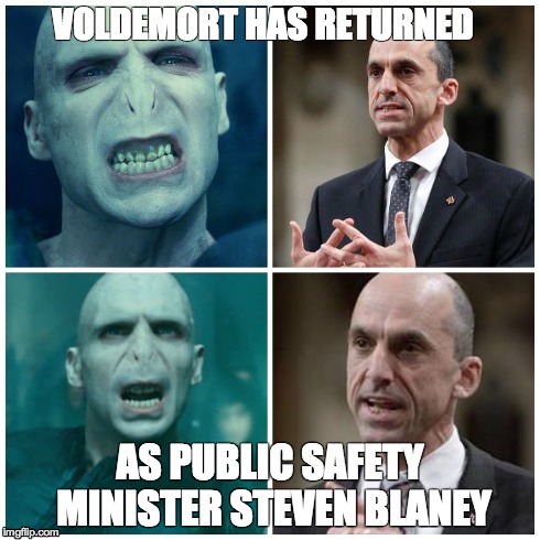 Voldemort has returned | VOLDEMORT HAS RETURNED AS PUBLIC SAFETY MINISTER STEVEN BLANEY | image tagged in voldemort,canada,harry potter,steven blaney | made w/ Imgflip meme maker
