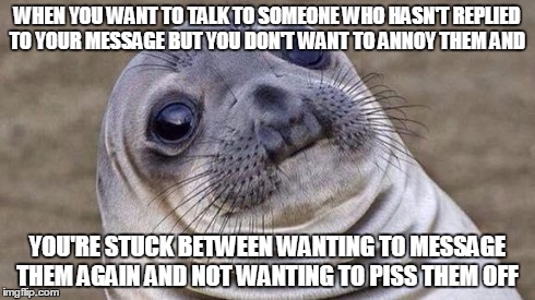 WHEN YOU WANT TO TALK TO SOMEONE WHO HASN'T REPLIED TO YOUR MESSAGE BUT YOU DON'T WANT TO ANNOY THEM AND YOU'RE STUCK BETWEEN WANTING TO MES | image tagged in awkward seal | made w/ Imgflip meme maker