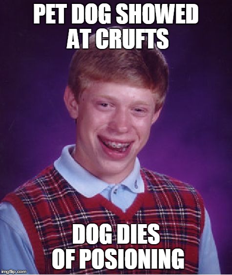 Bad Luck Brian | PET DOG SHOWED AT CRUFTS DOG DIES OF POSIONING | image tagged in memes,bad luck brian | made w/ Imgflip meme maker