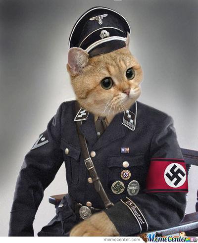 Nazi Cat Blank Meme Template