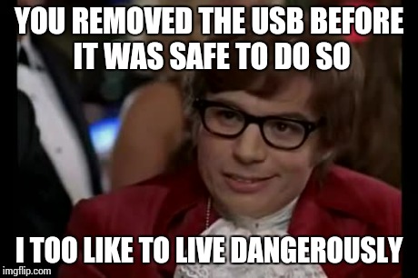 I Too Like To Live Dangerously | YOU REMOVED THE USB BEFORE IT WAS SAFE TO DO SO I TOO LIKE TO LIVE DANGEROUSLY | image tagged in memes,i too like to live dangerously | made w/ Imgflip meme maker
