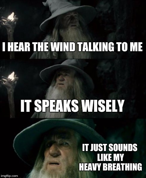 Confused Gandalf | I HEAR THE WIND TALKING TO ME IT SPEAKS WISELY IT JUST SOUNDS LIKE MY HEAVY BREATHING | image tagged in memes,confused gandalf | made w/ Imgflip meme maker