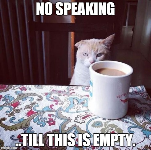 Cat Doesn't Like this Coffee | NO SPEAKING ..TILL THIS IS EMPTY. | image tagged in cat doesn't like this coffee,cats,coffee | made w/ Imgflip meme maker