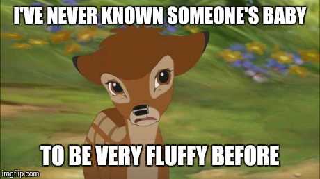 BUT WHY | I'VE NEVER KNOWN SOMEONE'S BABY TO BE VERY FLUFFY BEFORE | image tagged in but why | made w/ Imgflip meme maker