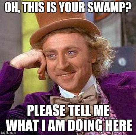 Creepy Condescending Wonka | OH, THIS IS YOUR SWAMP? PLEASE TELL ME WHAT I AM DOING HERE | image tagged in memes,creepy condescending wonka | made w/ Imgflip meme maker