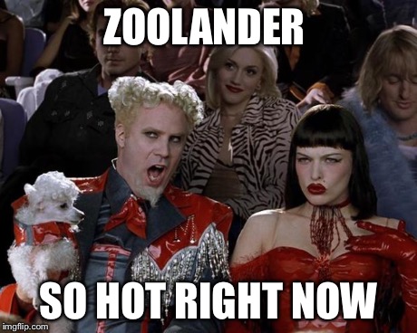 Mugatu So Hot Right Now Meme | ZOOLANDER SO HOT RIGHT NOW | image tagged in memes,mugatu so hot right now | made w/ Imgflip meme maker