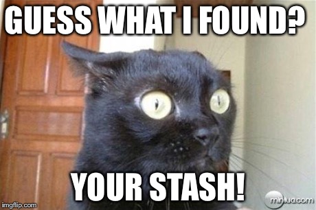 Cats | GUESS WHAT I FOUND? YOUR STASH! | image tagged in cats | made w/ Imgflip meme maker