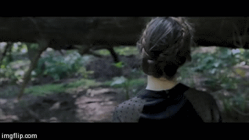 image tagged in gifs | made w/ Imgflip video-to-gif maker