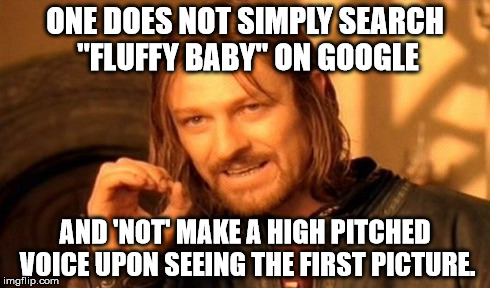 ONE DOES NOT SIMPLY SEARCH "FLUFFY BABY" ON GOOGLE AND 'NOT' MAKE A HIGH PITCHED VOICE UPON SEEING THE FIRST PICTURE. | image tagged in memes,one does not simply | made w/ Imgflip meme maker