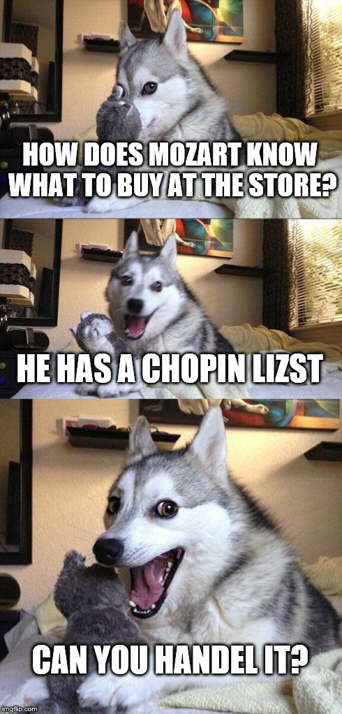 I'll be Bach
 | HOW DOES MOZART KNOW WHAT TO BUY AT THE STORE? HE HAS A CHOPIN LIZST CAN YOU HANDEL IT? | image tagged in memes,bad pun dog | made w/ Imgflip meme maker