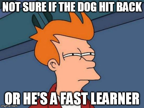 Futurama Fry Meme | NOT SURE IF THE DOG HIT BACK OR HE'S A FAST LEARNER | image tagged in memes,futurama fry | made w/ Imgflip meme maker