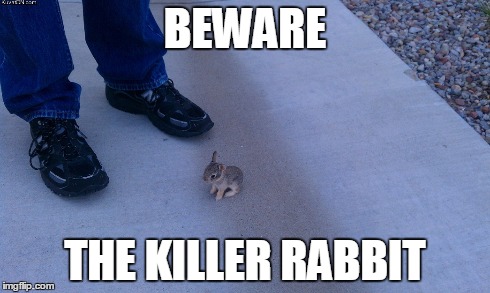 BEWARE THE KILLER RABBIT | made w/ Imgflip meme maker