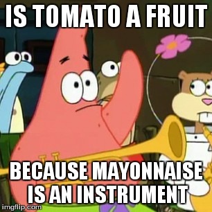 No Patrick | IS TOMATO A FRUIT BECAUSE MAYONNAISE IS AN INSTRUMENT | image tagged in memes,no patrick | made w/ Imgflip meme maker