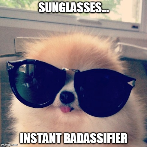 Sunglasses...   Instant Badassifier | SUNGLASSES... INSTANT BADASSIFIER | image tagged in puppies,cute puppies,cute,sunglasses,cool,selfie | made w/ Imgflip meme maker