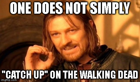 One Does Not Simply | ONE DOES NOT SIMPLY "CATCH UP" ON THE WALKING DEAD | image tagged in memes,one does not simply | made w/ Imgflip meme maker