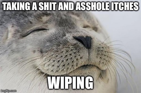 Satisfied Seal | TAKING A SHIT AND ASSHOLE ITCHES WIPING | image tagged in memes,satisfied seal,AdviceAnimals | made w/ Imgflip meme maker