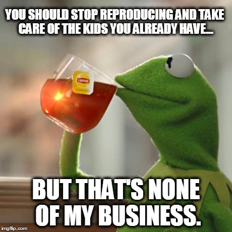 But That's None Of My Business | YOU SHOULD STOP REPRODUCING AND TAKE CARE OF THE KIDS YOU ALREADY HAVE... BUT THAT'S NONE OF MY BUSINESS. | image tagged in memes,but thats none of my business,kermit the frog | made w/ Imgflip meme maker