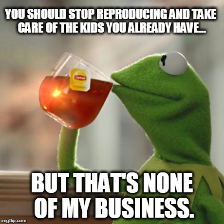 But That's None Of My Business Meme | YOU SHOULD STOP REPRODUCING AND TAKE CARE OF THE KIDS YOU ALREADY HAVE... BUT THAT'S NONE OF MY BUSINESS. | image tagged in memes,but thats none of my business,kermit the frog | made w/ Imgflip meme maker