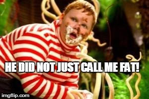 HE DID NOT.. just call me fat | HE DID NOT JUST CALL ME FAT! | image tagged in fat kid eating candy | made w/ Imgflip meme maker