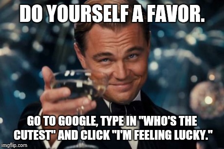 Just a self-esteem booster. | DO YOURSELF A FAVOR. GO TO GOOGLE, TYPE IN "WHO'S THE CUTEST" AND CLICK "I'M FEELING LUCKY." | image tagged in memes,leonardo dicaprio cheers | made w/ Imgflip meme maker