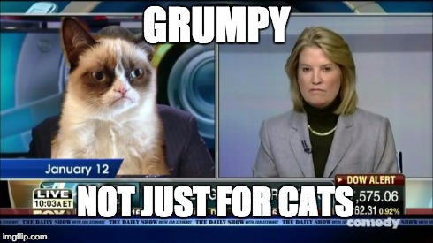 GRUMPY NOT JUST FOR CATS | image tagged in grumpy cat | made w/ Imgflip meme maker