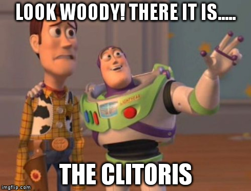 X, X Everywhere Meme | LOOK WOODY! THERE IT IS..... THE CLITORIS | image tagged in memes,x x everywhere | made w/ Imgflip meme maker