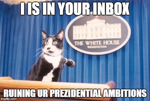 I IS IN YOUR INBOX RUINING UR PREZIDENTIAL AMBITIONS | image tagged in hillary clinton,hillary clinton's emails,socks the cat,lolcats | made w/ Imgflip meme maker