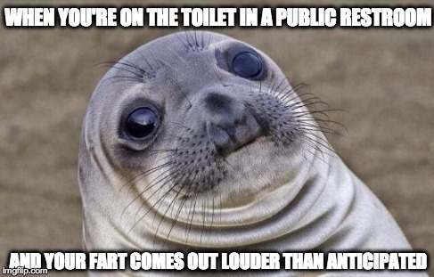 Awkward Moment Sealion | WHEN YOU'RE ON THE TOILET IN A PUBLIC RESTROOM AND YOUR FART COMES OUT LOUDER THAN ANTICIPATED | image tagged in memes,awkward moment sealion | made w/ Imgflip meme maker