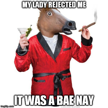 horseboss | MY LADY REJECTED ME IT WAS A BAE NAY | image tagged in horseboss,memes,puns | made w/ Imgflip meme maker