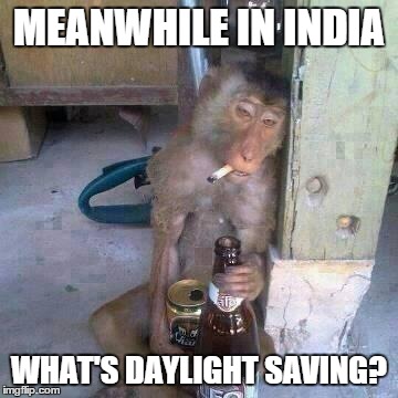 Drunken Ass monkey | MEANWHILE IN INDIA WHAT'S DAYLIGHT SAVING? | image tagged in drunken ass monkey | made w/ Imgflip meme maker