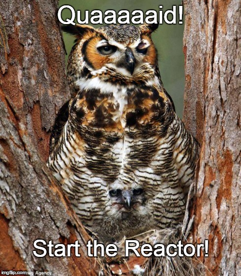 Quaaaaid! | Quaaaaaid! Start the Reactor! | image tagged in funny,memes,owls,arnold schwarzenegger | made w/ Imgflip meme maker