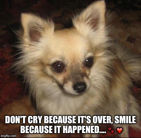 DON'T CRY BECAUSE IT'S OVER,SMILE BECAUSE IT HAPPENED....  | image tagged in toto | made w/ Imgflip meme maker