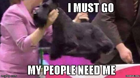 I MUST GO MY PEOPLE NEED ME | image tagged in crufts,i must go,dog,doge,handler | made w/ Imgflip meme maker