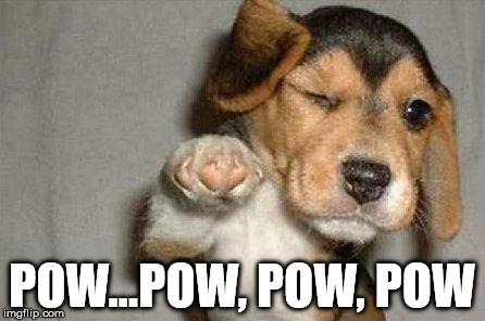 Awesome Dog | POW...POW, POW, POW | image tagged in awesome dog | made w/ Imgflip meme maker