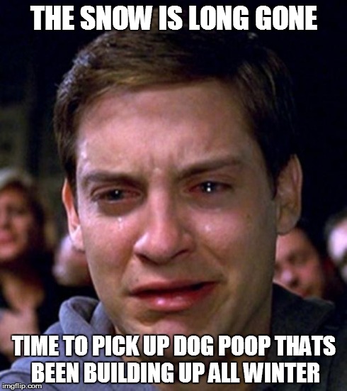 Time to pick up the poo... | THE SNOW IS LONG GONE TIME TO PICK UP DOG POOP THATS BEEN BUILDING UP ALL WINTER | image tagged in crying peter parker,dogs,poop,sad | made w/ Imgflip meme maker