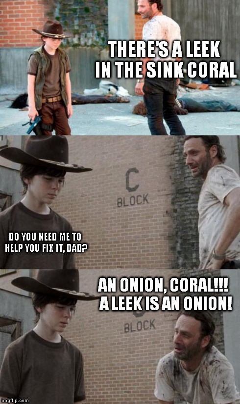 Rick and Carl 3 Meme | THERE'S A LEEK IN THE SINK CORAL DO YOU NEED ME TO HELP YOU FIX IT, DAD? AN ONION, CORAL!!!  A LEEK IS AN ONION! | image tagged in memes,rick and carl 3,onion | made w/ Imgflip meme maker