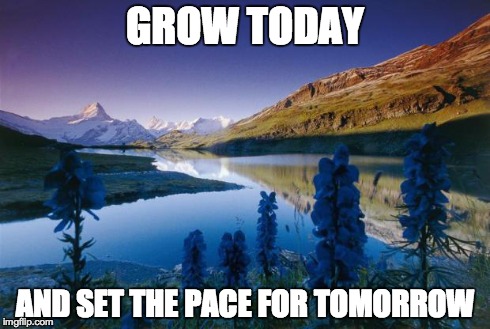 GROW TODAY AND SET THE PACE FOR TOMORROW | image tagged in grow | made w/ Imgflip meme maker