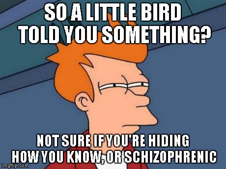 Futurama Fry Meme | SO A LITTLE BIRD TOLD YOU SOMETHING? NOT SURE IF YOU'RE HIDING HOW YOU KNOW, OR SCHIZOPHRENIC | image tagged in memes,futurama fry | made w/ Imgflip meme maker