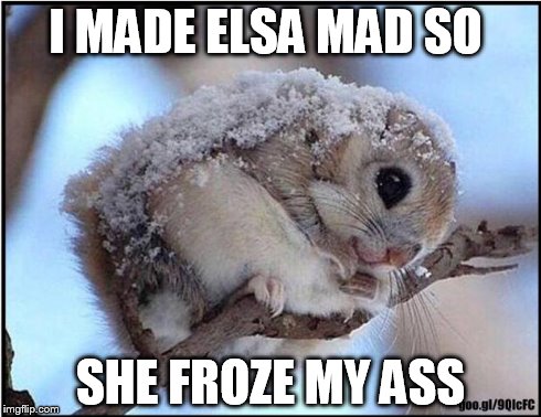Frozen squirrel | I MADE ELSA MAD SO SHE FROZE MY ASS | image tagged in frozen squirrel | made w/ Imgflip meme maker