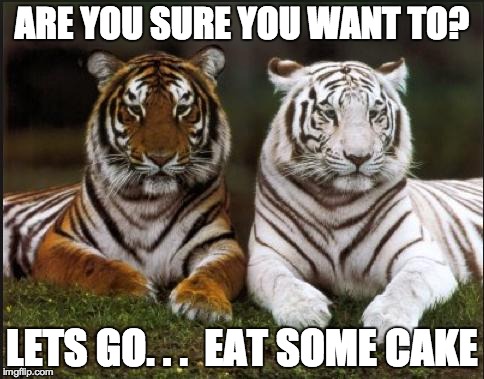 ARE YOU SURE YOU WANT TO? LETS GO. . .  EAT SOME CAKE | image tagged in two tigers | made w/ Imgflip meme maker
