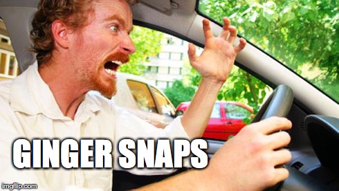 Ginger Snaps | GINGER SNAPS | image tagged in ginger,memes | made w/ Imgflip meme maker