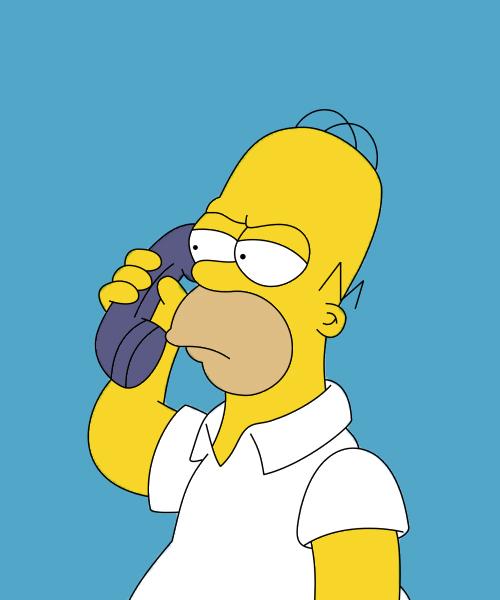 Homer on Phone Blank Meme Template